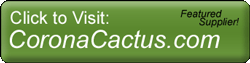 Visit CoronaCactus.com