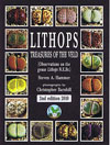 Lithops: Treasures of the Veld
